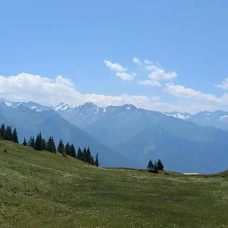 Pihapperhof Apartamento Mittersill