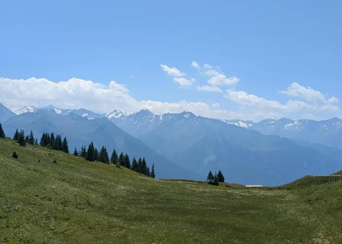 Pihapperhof Apartamento Mittersill